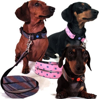 Eco Pet Collar - Silk Necktie - Create Your Own