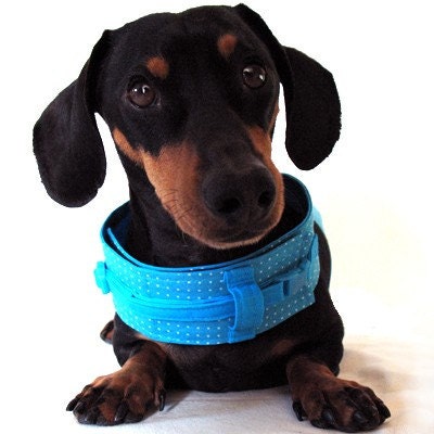 Eco Dog Harness - Renewable Aqua Dot Cotton - Medium