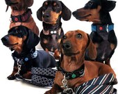 Eco Pet Leash - Create Your Own Necktie