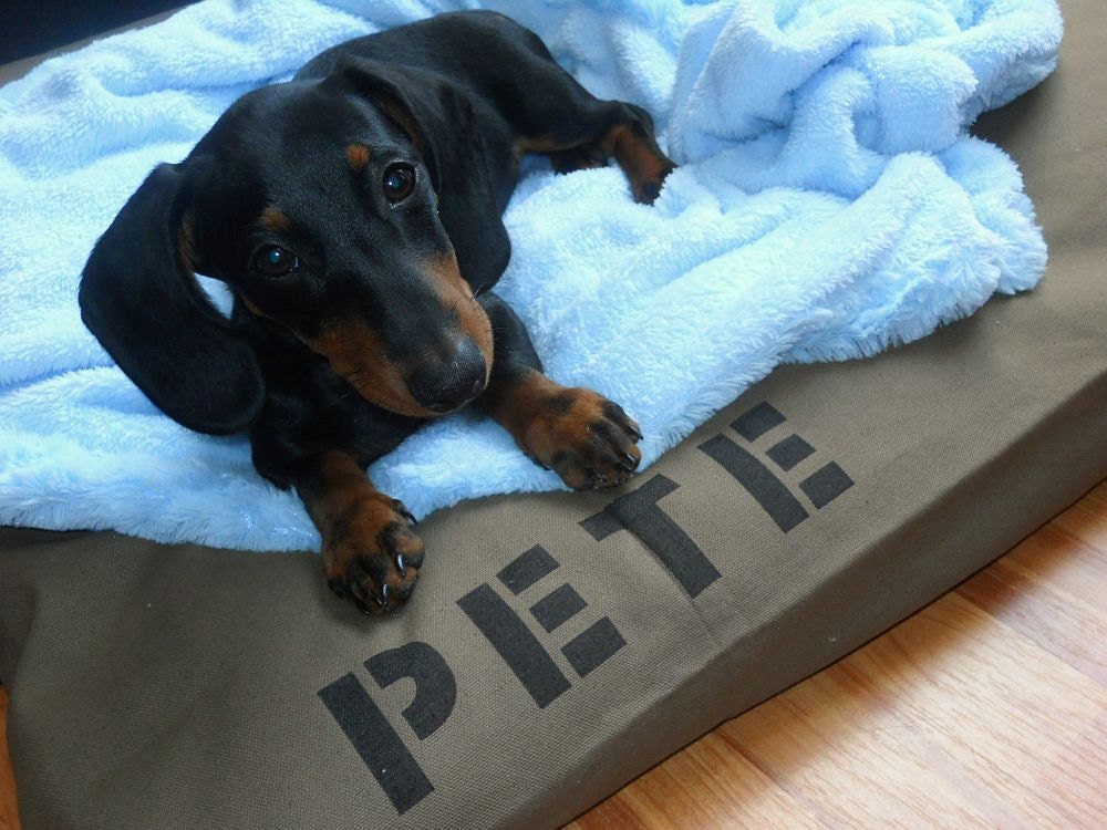Medium 25x38 Dog Bed Duvet Cover : Choose from MANY canvas colors - Use two standard sleeping pillows as stuffing