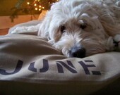 Dog Bed Duvet Cover XL 38x50 - MANY canvas colors to choose from - Use four standard sleeping pillows as stuffing