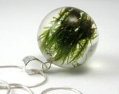 Green Moss Pendant, Medium Resin Round with Sterling Silver Chain
