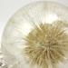 Dandelion Pendant, resin pendant, floral pendant, resin necklace