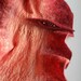 Peachy Orange Shades - Long Scarf Hand Felted Wool - Wearable Art