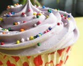 Adorable LARGE Cupcake Bath Fizz Bomb