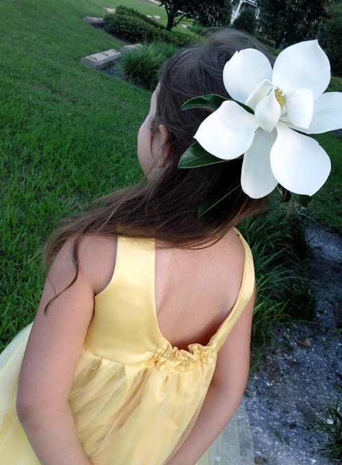 Flower Girl Dress Tutu Dress