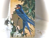 Vintage Playing Cards Bird (Pack of 4)