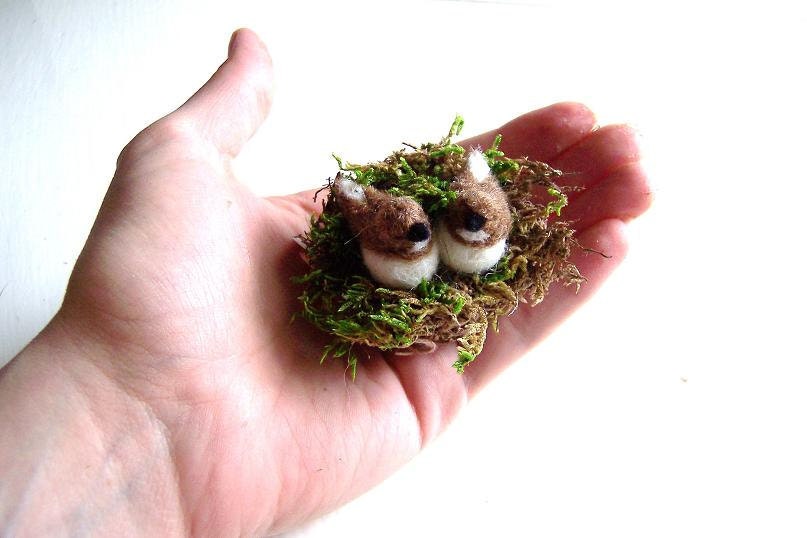 Miniature Felted Society Finch Couple