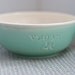 Vegan classic bowl in green with a star.