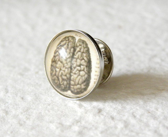 Vintage Anatomy Tie Pin - The Brain