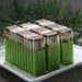Lost Forest Soap Bar (Vegan)