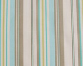 Last One Available Half Yard of NEW Amy Butler - Daisy Chain - Happy Stripe in Grey
