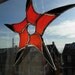 5-pointed Koncrete starflower suncatcher