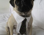 Custom Dog Dress Shirt and Tie Set - Small to Medium sized dogs