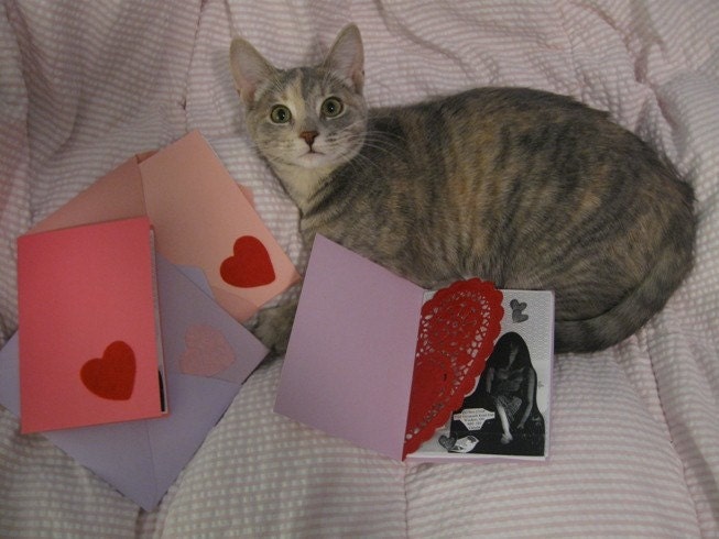 zine 398 issue 11 by Elizabeth J. M. W.