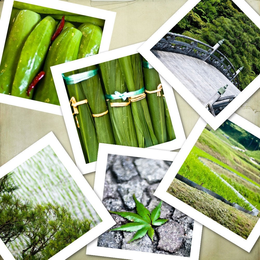Green toned photos from Japan Mini Prints - bamboo leaf rice field cucumber bridge tree outside - Six 5 inches Square