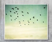 Nature Photography - birds in flight silhouetted against evening sky - 10x8 11x14 16x20 20x30 photo print wall art home decor