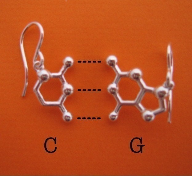 base pair earrings - choose your favorite DNA and RNA nucleotide bases