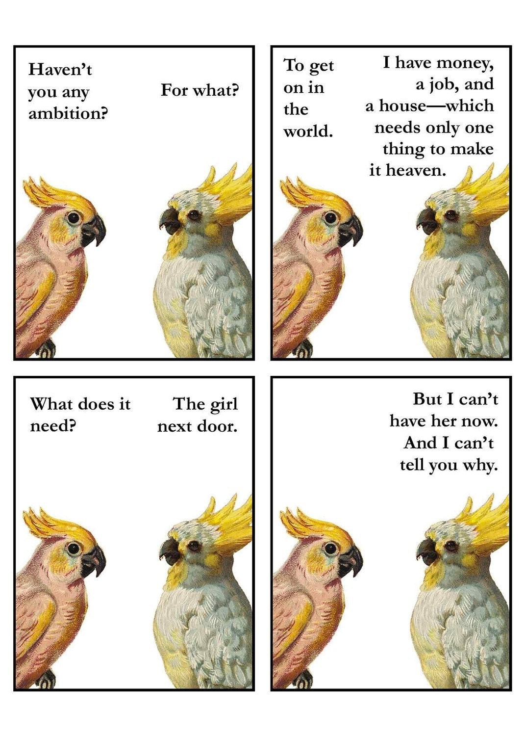 The Girl Next Door-Parrot Love - Blank Card