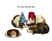 Guinea Pigs Birthday Card