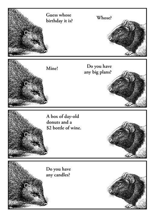 A Happy Hedgehog Birthday - Blank Card