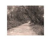 Path to Oso Flaco Lake (Isaiah 26:7-8), Original Black and White Photography Print 10x8