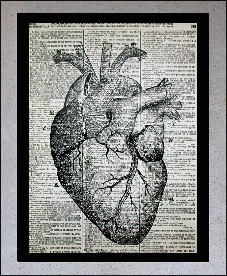 Anatomical Heart - Old book page, Vintage Medical Drawing - Book Page Art Print - Human Heart