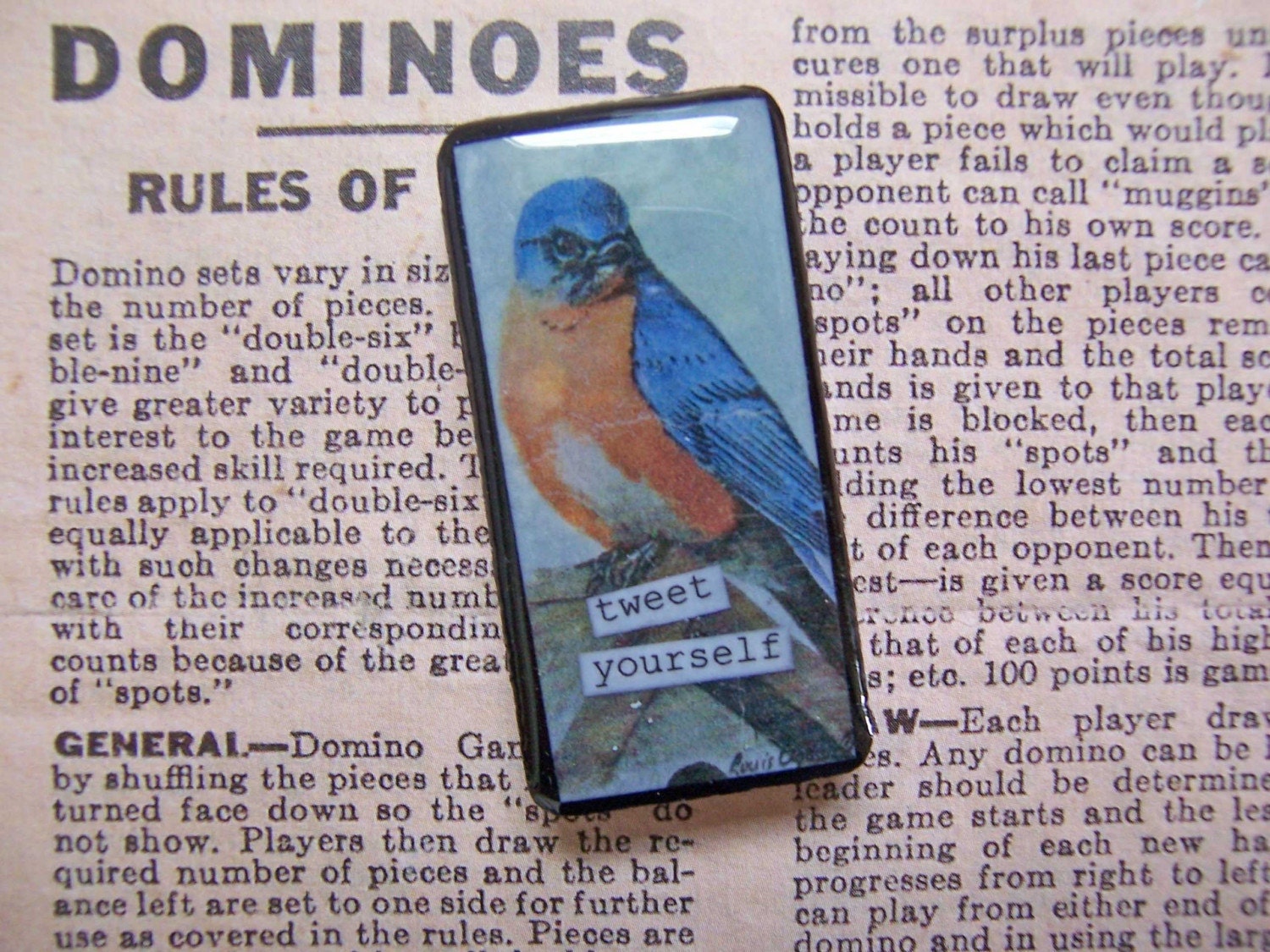 Altered Domino Pin Brooch - Bluebird Tweet Yourself - Fun and Funky Recycled Goodness