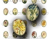 Digital Images Collage Sheet Vintage Flowers Illustrations Botanicals Plants Small Tiny Ovals 13 x 18 mm for Pendants Crafts (OS7)