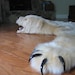 Faux Bearskin Rug