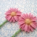 Pink Daisy Hair Pins