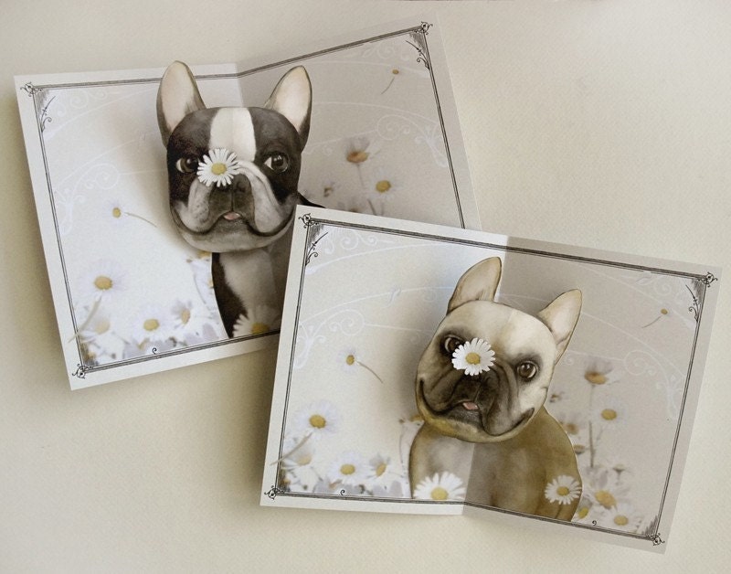 Pushing Up Daisies Boston Terrier Pop Up Card