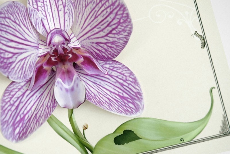 purple orchid flower pop up card
