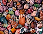 Shells