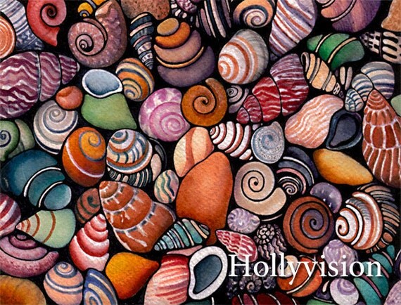 Shells