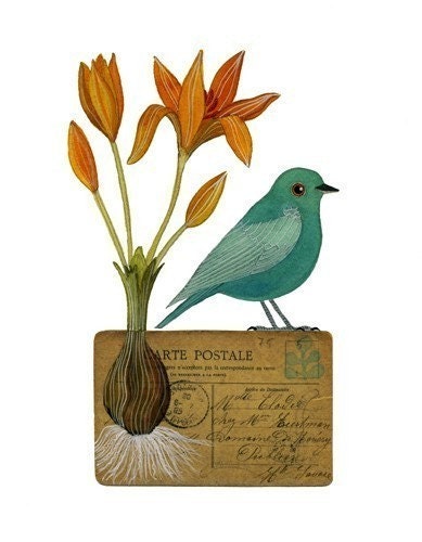 Bird No.11