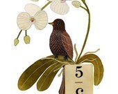 Bird No.8