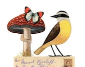 Bird No.28