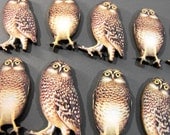 Wooden Owls