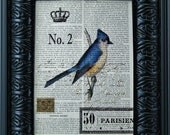Collage, Print, Blue Jay, Bird, Crown, French Market, Winterberry Cottage