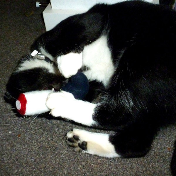 Cat Toy / Catnip / Severed Leg Catnip Toy / Greasy Spoon Sock / Catnip Toy / Pet Gift