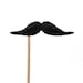 set of four: mustache on a stick, the kid.