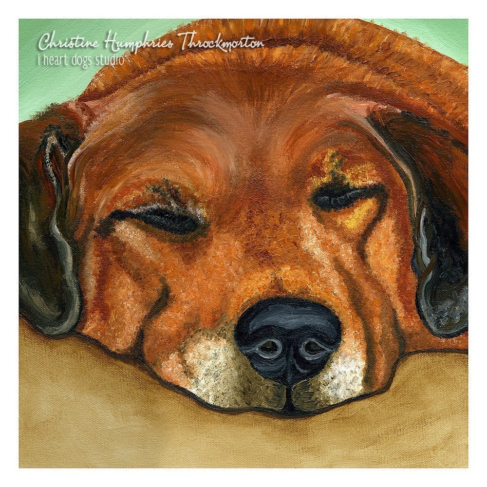 Snoozing dog print