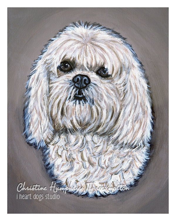 Lhasa Apso (on taupe) print