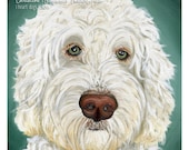 Labradoodle print
