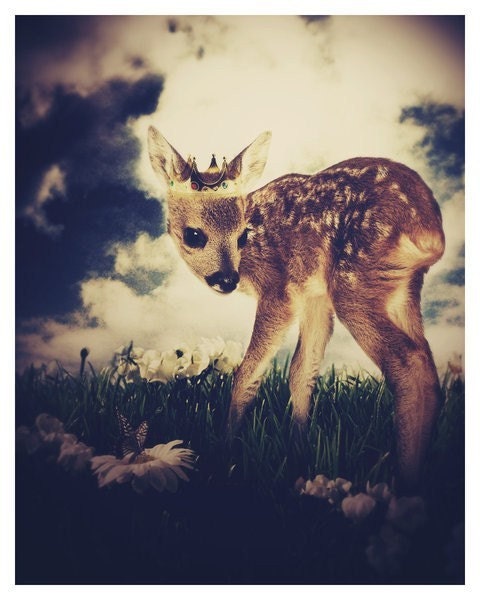 The Little Deer Prince,  8.5x11 Inch Print, Deer Print, Woodland Fairytale Art Print