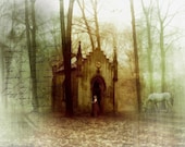 Woodland Fantasy Print, Secret Places, 8x10 or 8.5x11 Inch
