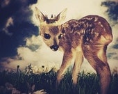 The Little Deer Prince,  8x10 or 8.5x11 Inch Print, Deer Print, Woodland Fairytale Art Print