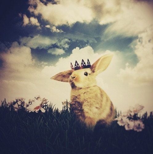 Bunny Rabbit Print, The Little Bunny Prince, 5x7 Inch Print, Easter