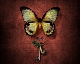 Metamorphosis I, 5x5 Inch Print